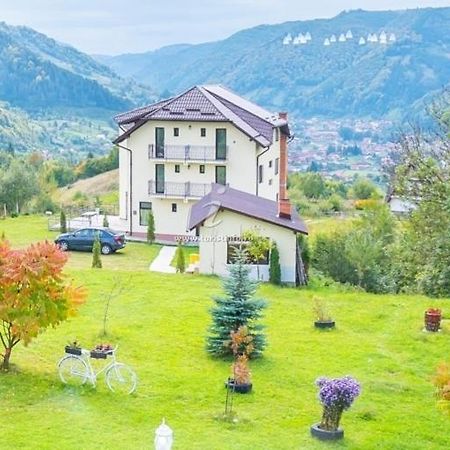 Vila Zorilor Димбовічйоара Екстер'єр фото